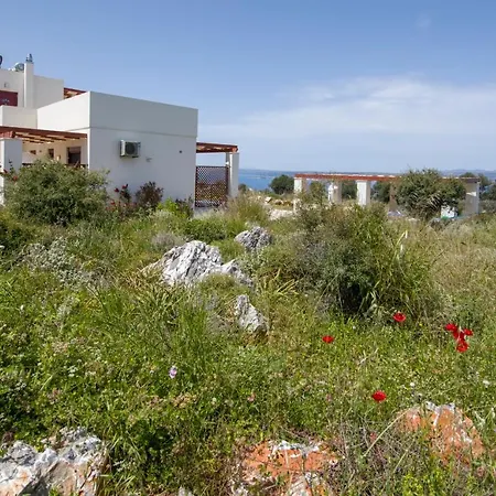 Apartment Phenωmena *