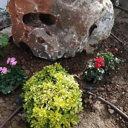 Appartamento Phenωmena Kokkino Chorio